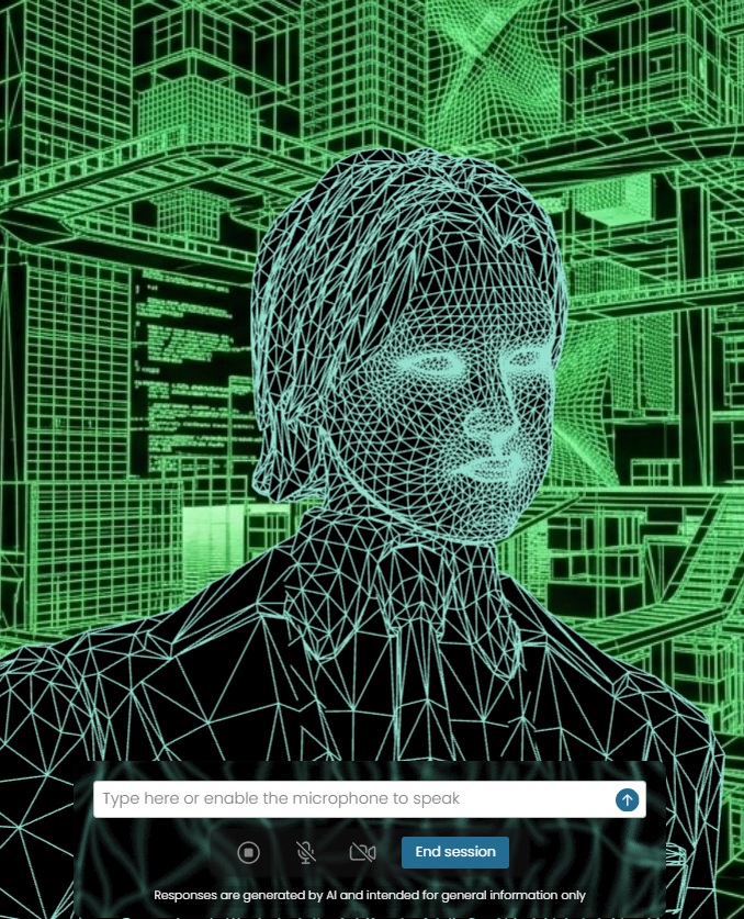Wireframe-style avatar preview